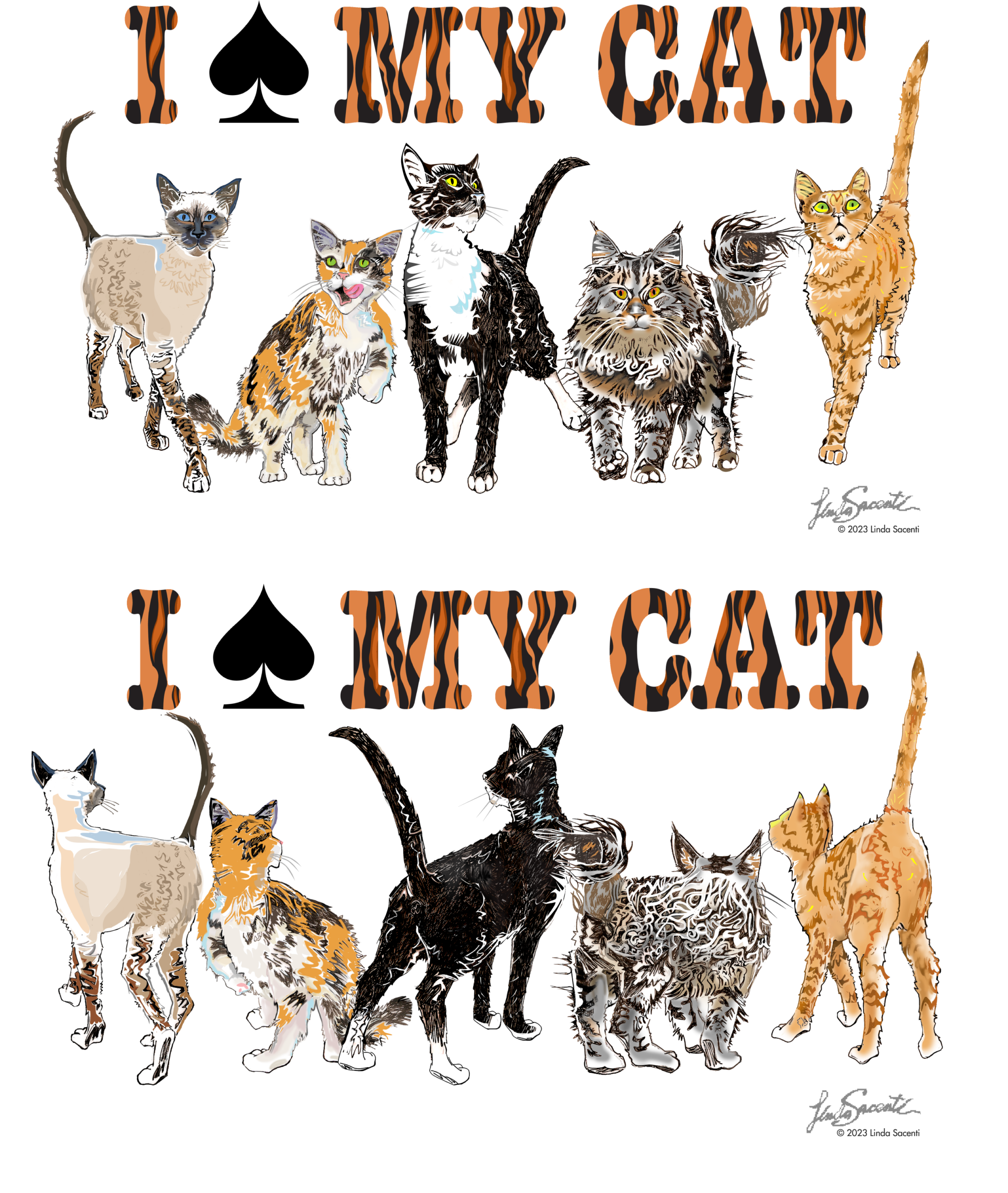 Cats Before, Cats Behind